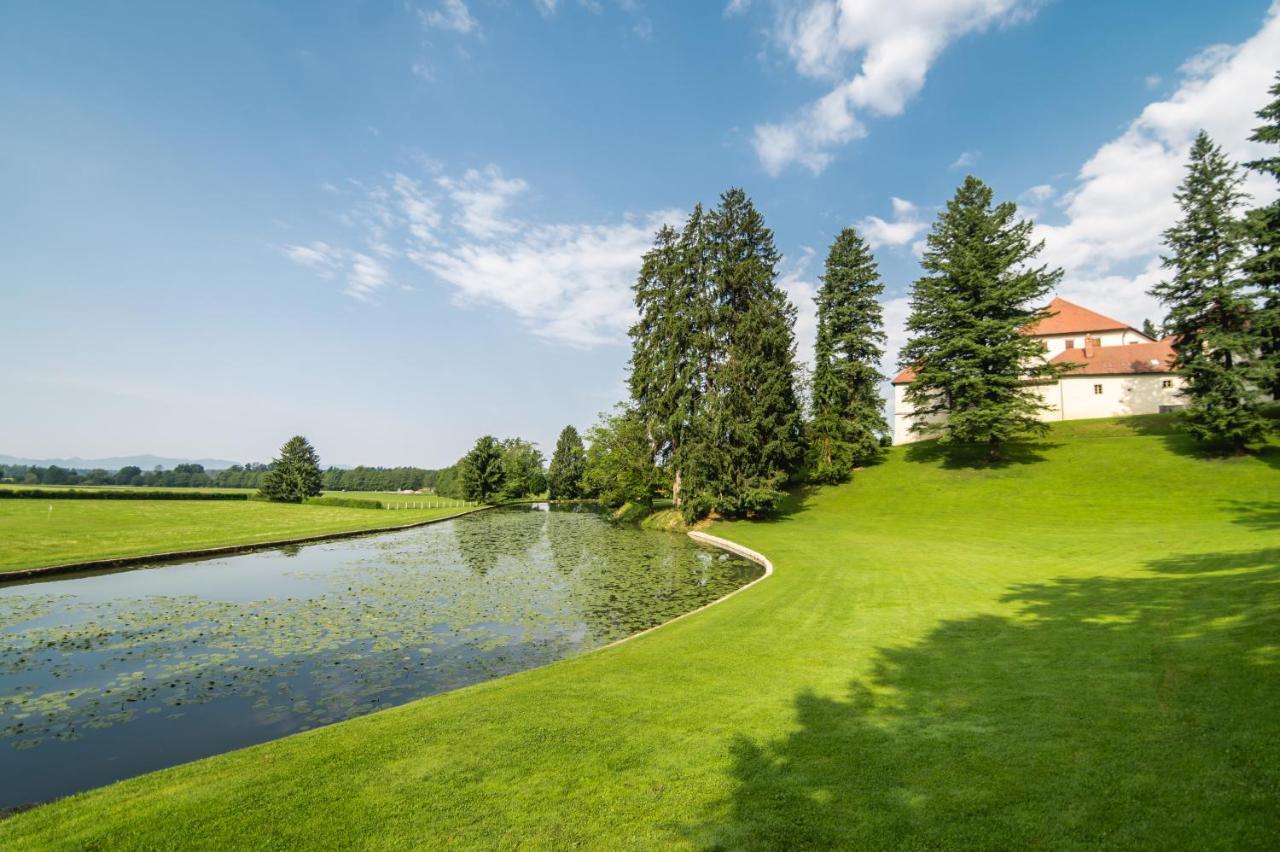 Grad Strmol Villa Cerklje na Gorenjskem Exterior photo