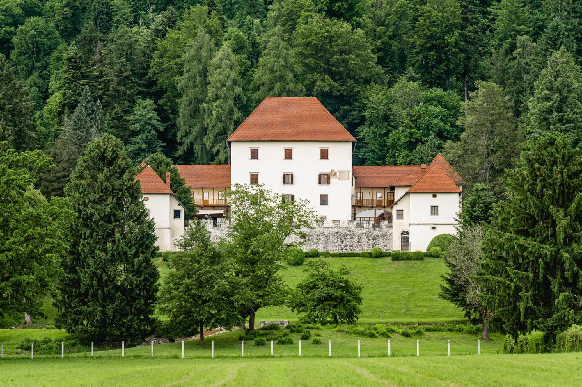 Grad Strmol Villa Cerklje na Gorenjskem Exterior photo